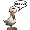 Mouette Servus Servus Memes !
