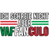 Italie Vaffanculo italien