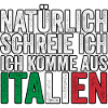 Italy Italian Vaffanculo