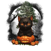 Chats d’Halloween
