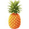 Ananas bunt