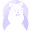 Guinea Rodent
