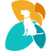 Dog Training Dog School