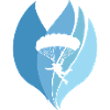 Skydive Parachuting Freefall