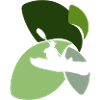 Kayak paddling