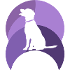 Dog Training Dog Trainer