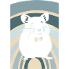 Rodent Pet