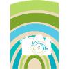 Photography Digital Camera Picture