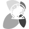 Guinea Mouse Pet