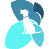 Dog trainer dog training