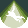Skydiving Parachuting