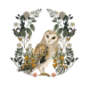 Owls Owl Flowers Spring