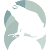 Amphibian Frog Quark