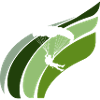 Parachutisme