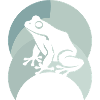Frog amphibian