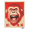 Angry happy crazy japanese monkey