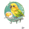 Parrot Egg: Parrot and Egg