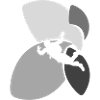 Skydiving Air