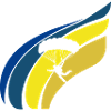 Skydive Freefall Base Jumping