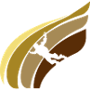 Parachuting Free Fall Air