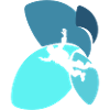 Skydiving Adrenaline Parachuting