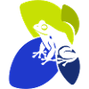 Amphibian Amphibian Frog Prince