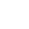 Critical Thinker