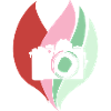 Photographer Photography