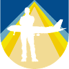 Airline Aircraft Stewardess