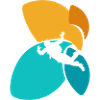 Parachuting Skydive Adrenaline