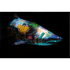 Graffiti Requin by Blach®