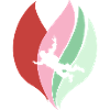 Parachutisme Base Jump Vol