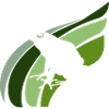 Étang Frog Quack
