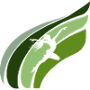 Gymnastics Trainers