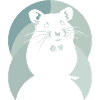 Mouse Guinea
