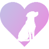 Dog Training Dog Trainer