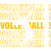 Volleyball Volleyball Volleyball Volleyball