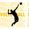 Volleyball Volleyball Volleyball Volleyball