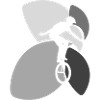 Einradfahren Fahrrad