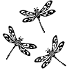 trio de libellules noires
