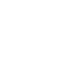 trio de libellules blanches