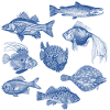 Fishes for compliments
