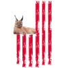 Big Floppa Karakal Cat Meme