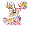 Hippie Festival