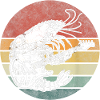 Crayfish Rock Sunset Guitar