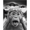 Funny Monkey Graphic UFO Weird