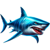 Shark