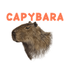 Capybara Capy