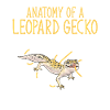 Leopard Gecko Reptile Pet Gecko