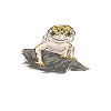 Leopard Gecko Reptile Pet Gecko